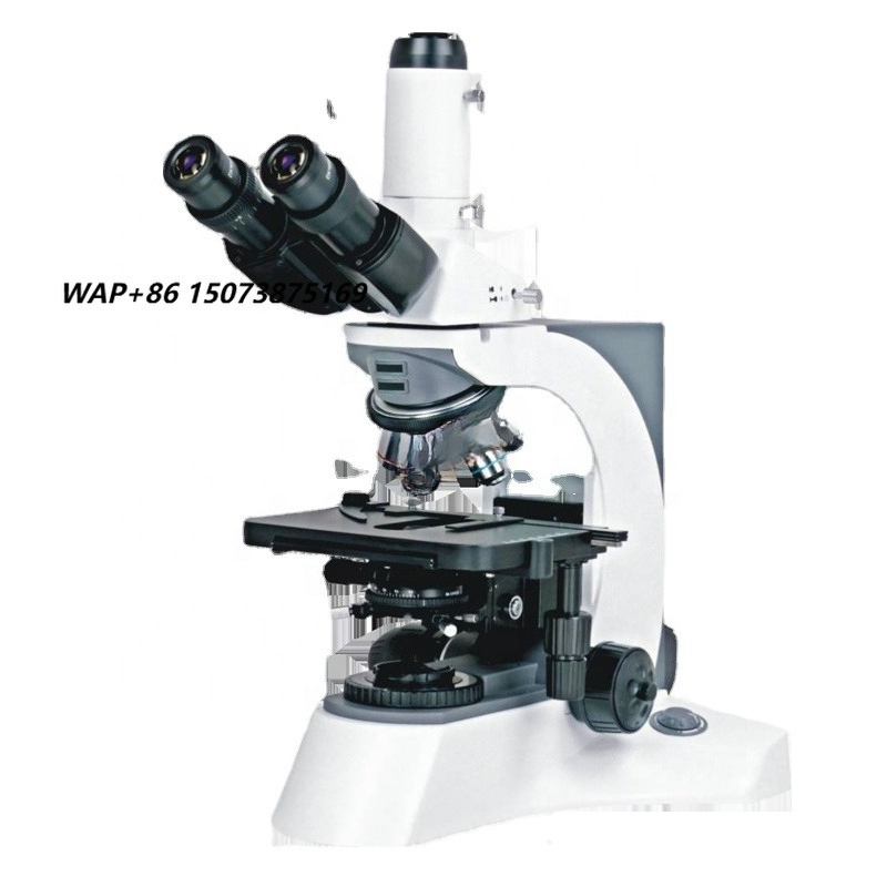 Polarizing Microscope Binocular - Optisches Stereoskop Gemmologisches Metallurgisches Polarisierendes Mess-Digital-Invertiertes
