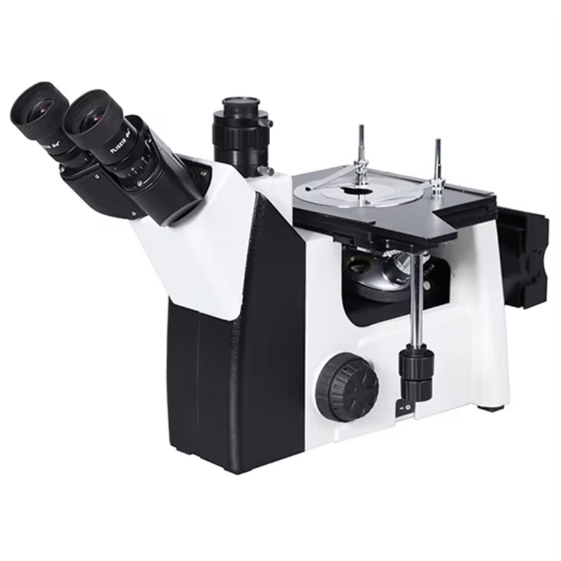 Metallurgical Microscope Inverted - BestScope BS-6004 Invertiertes Metallurgisches Mikroskop mit