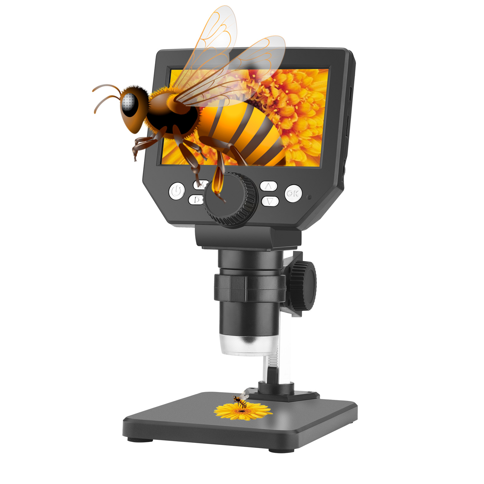 USB 6,5-Zoll-Digitalmikroskop  – Usb Microscope 1000X Digital Bewertung und Preis