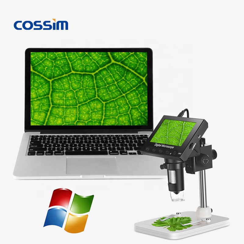 1000-fache Vergrößerung, 2MP T – Usb Microscope 1000X Digital Bewertung und Preis