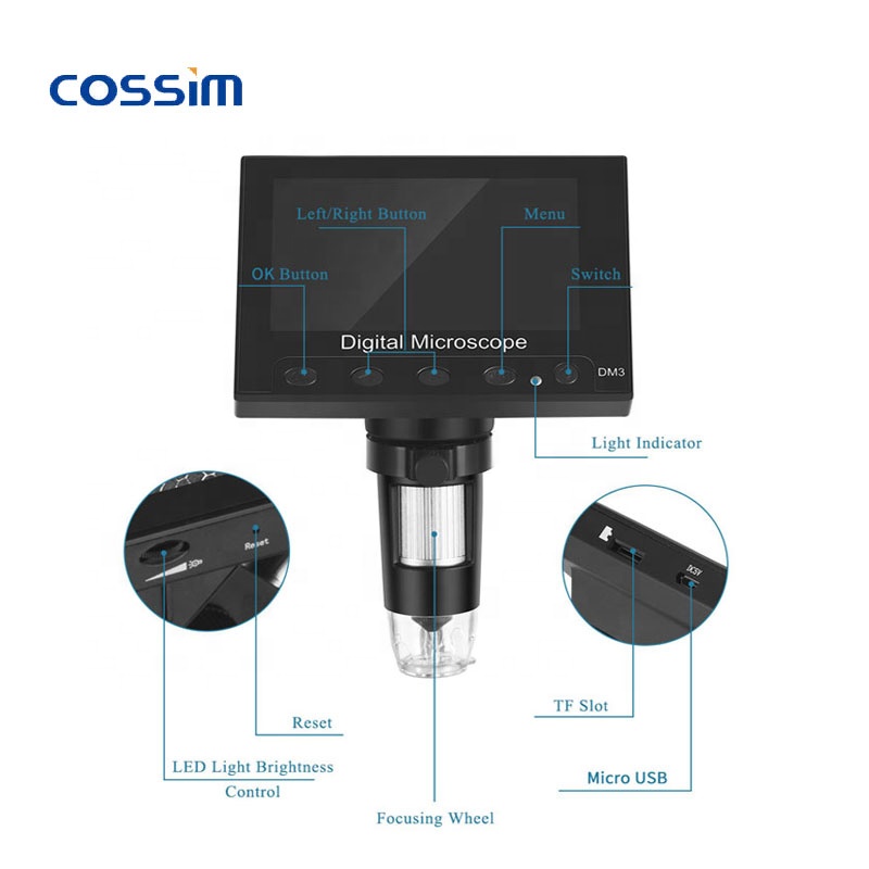 1000-fache Vergrößerung, 2MP T – Usb Microscope 1000X Digital Bewertung und Preis