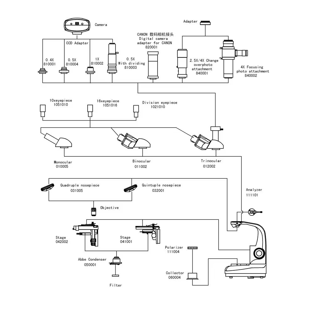 Polarisationsmikroskop Profess – Polarizing Microscope Binocular Bewertung und Preis