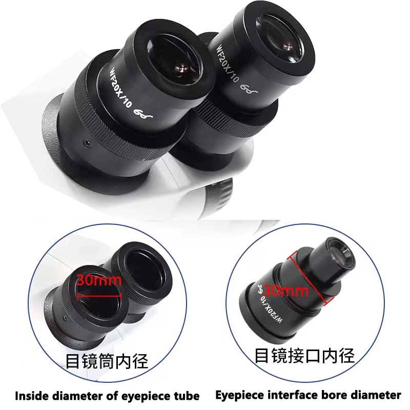 20X/10 Okular Professionelles  – Polarizing Microscope Binocular Bewertung und Preis