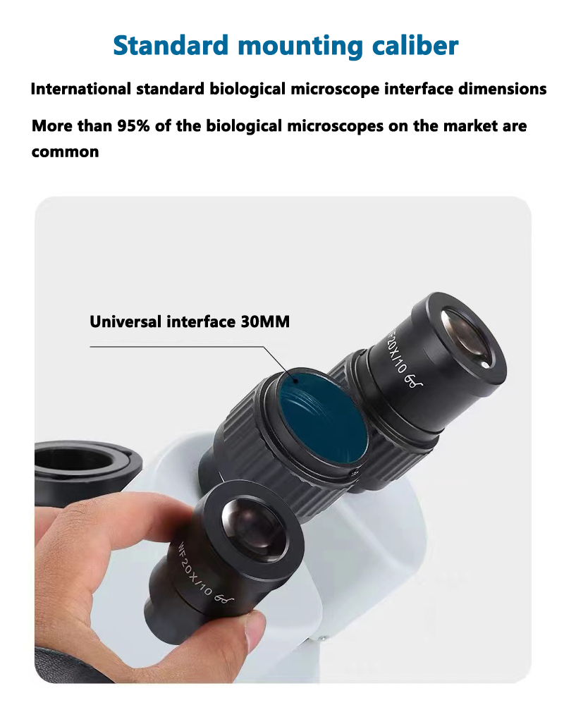 20X/10 Okular Professionelles  – Polarizing Microscope Binocular Bewertung und Preis