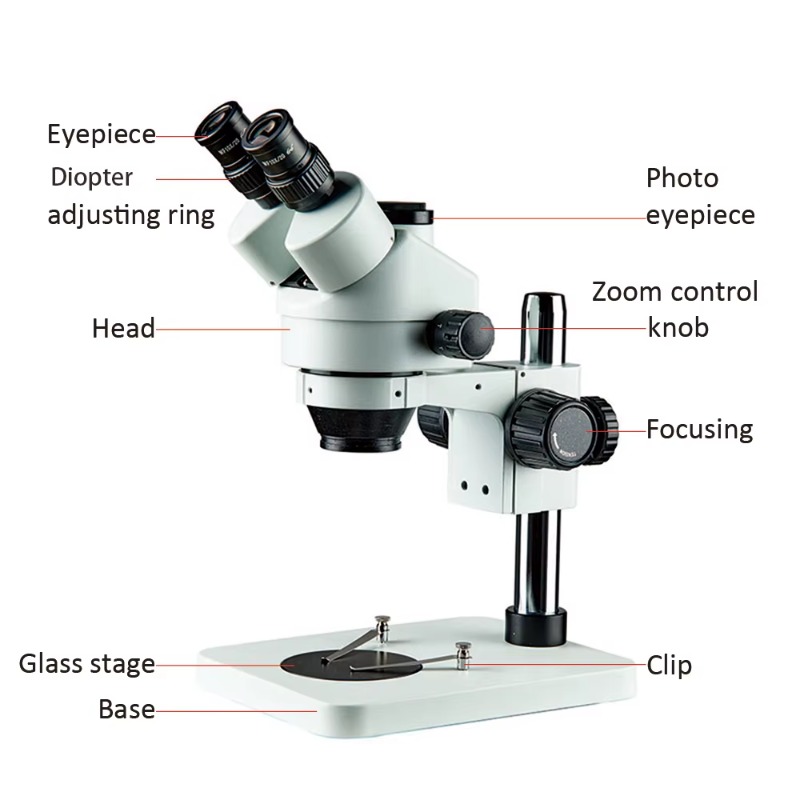 7X-45X Binokulares Mikroskop T – Trinocular Stereo Microscope 7X-45X Bewertung und Preis