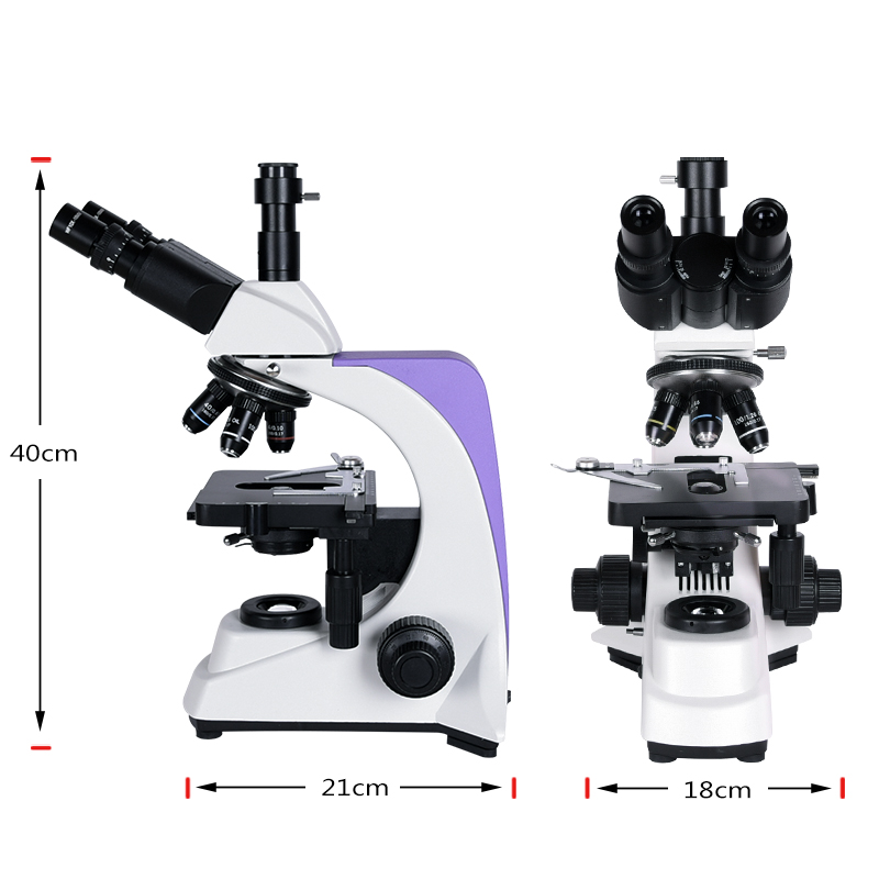 1000x 2500X Professionelles Bi – Usb Microscope 1000X Digital Bewertung und Preis