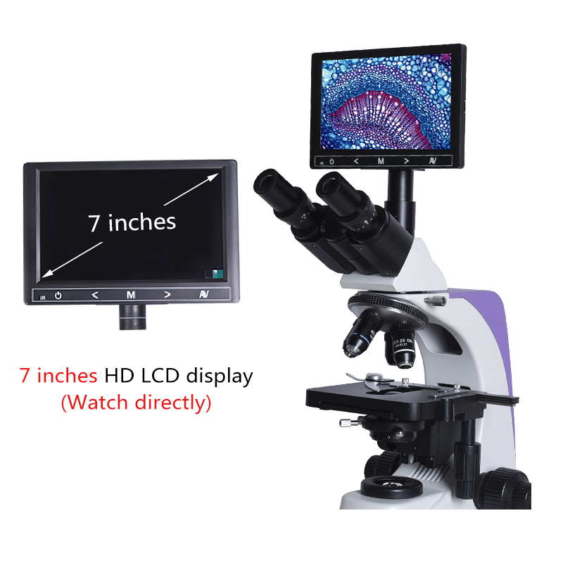 1000x 2500X Professionelles Bi – Usb Microscope 1000X Digital Bewertung und Preis