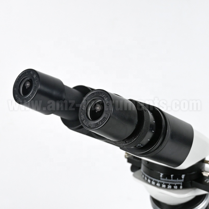 Günstiges Labor-Polarisationsm – Polarizing Microscope Binocular Bewertung und Preis